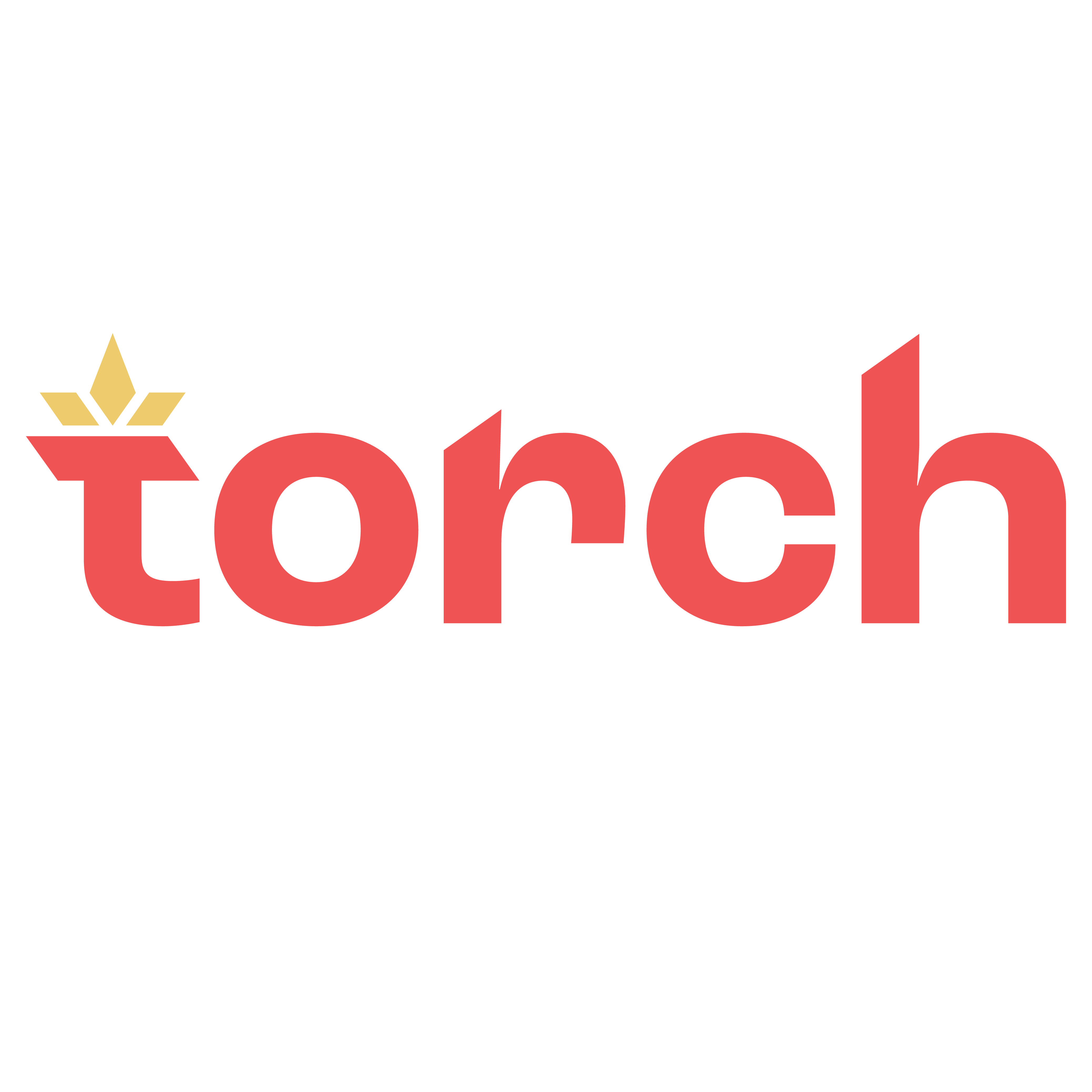 Torch
