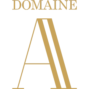 DOMAINE A