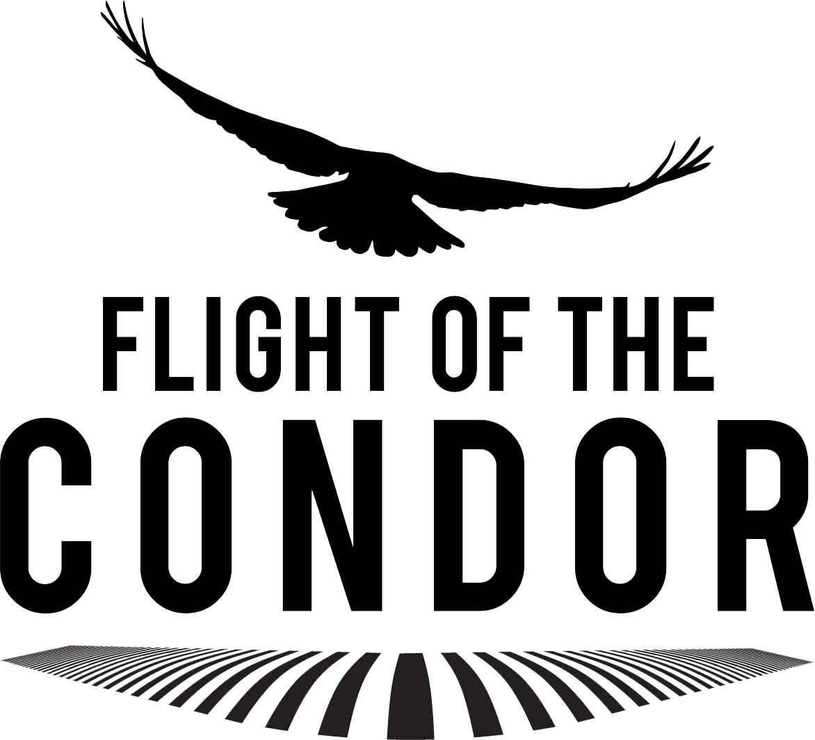 FLIGHT OF THE CONDOR